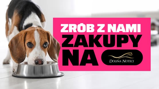 Zrób z nami zakupy na Dolina Noteci